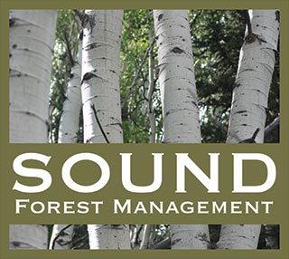 aspen trees logo of sound forest management