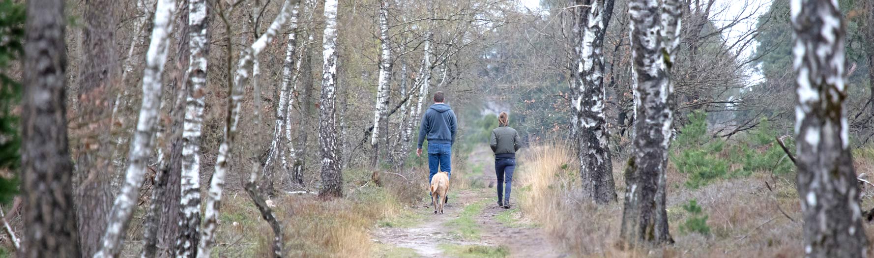 family walking in woods with dog enjoying their trail